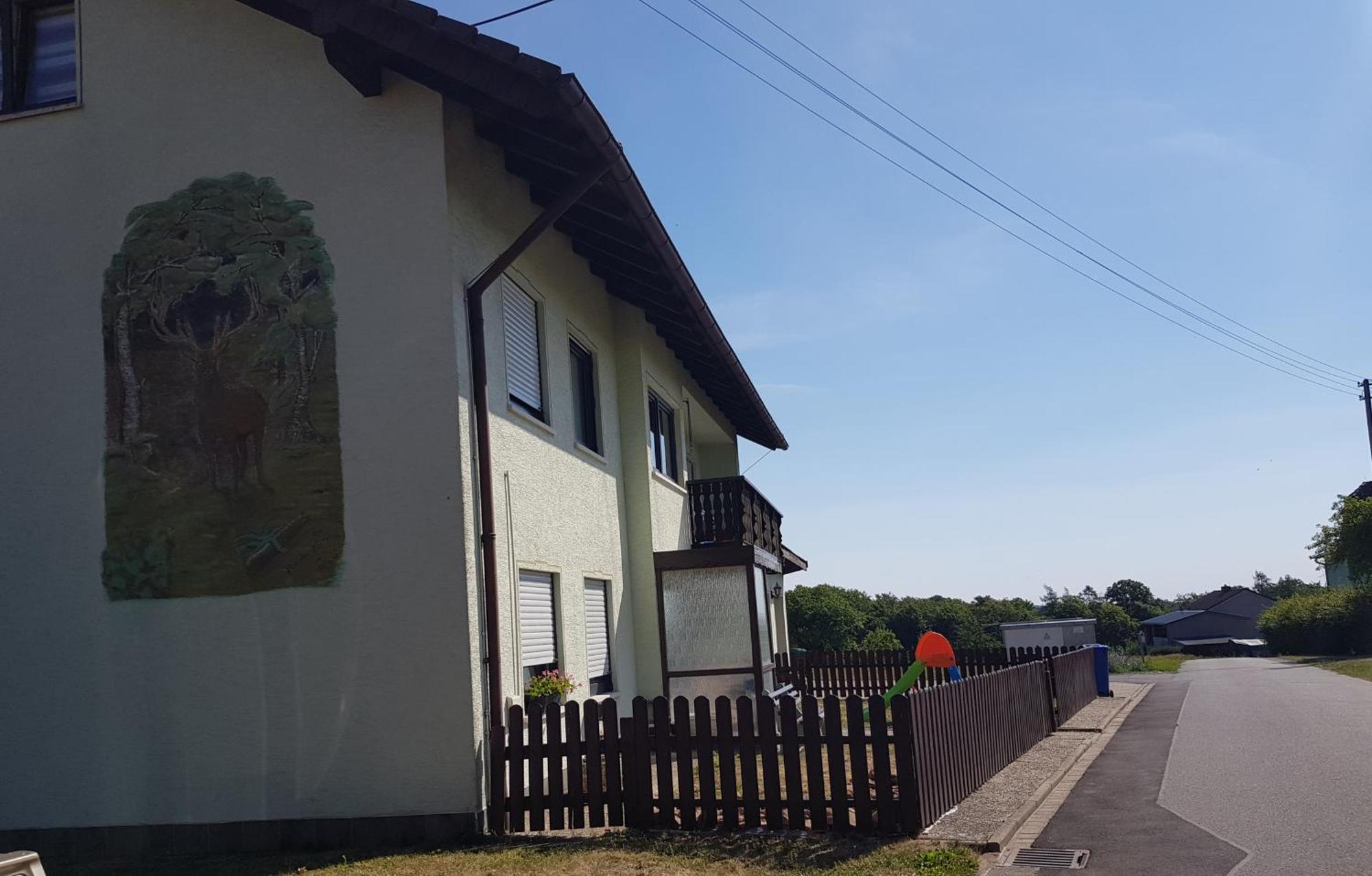 Geishoehe Landgasthof Rose Dammbach Phòng bức ảnh